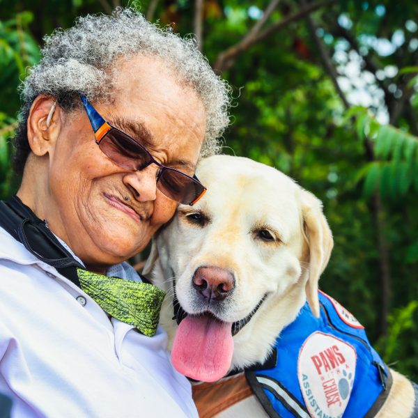 Age-related Health Concerns in Senior Pets