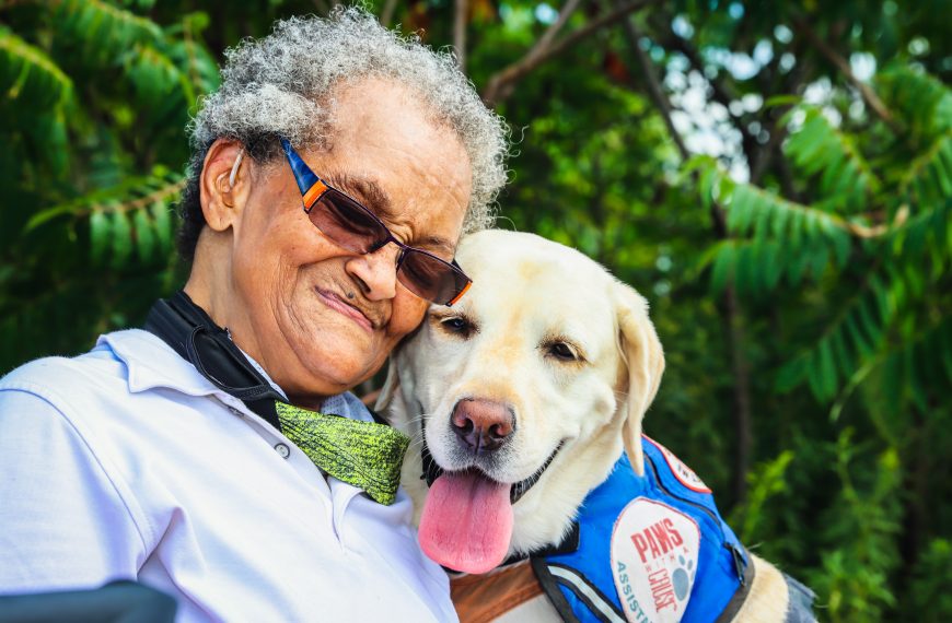 Age-related Health Concerns in Senior Pets