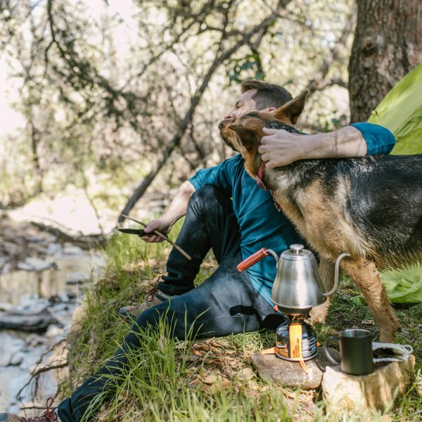 Tailored Training; Elevating Outdoor Excursions, with Your Furry Companion